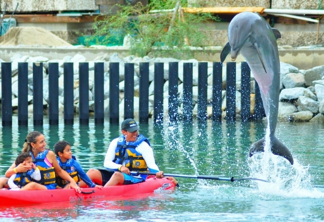 Kayaks familiaternera